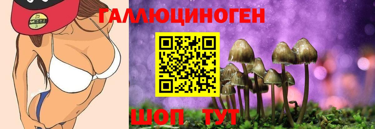 Златоуст  Псилоцибиновые грибы Cubensis  Вход с VPN 